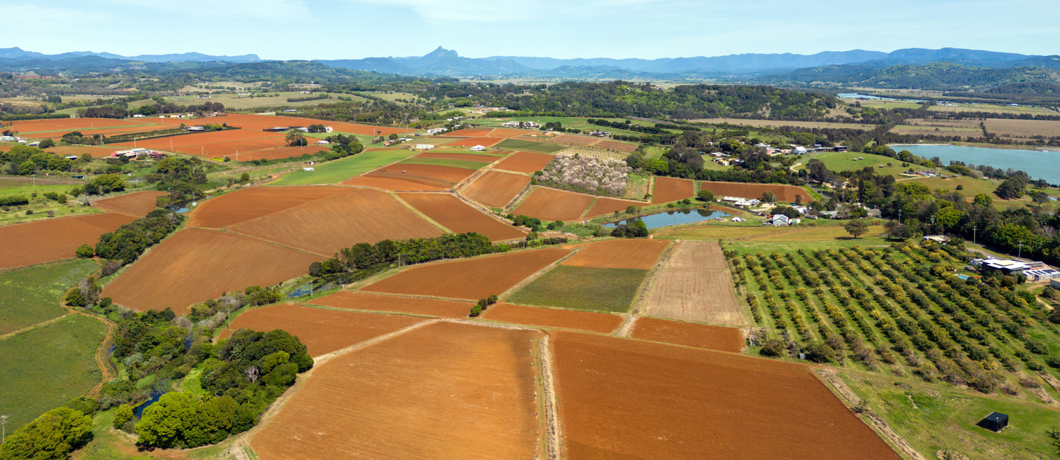 Farming Landscape