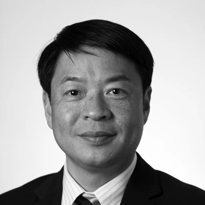 Professor Mike Xie