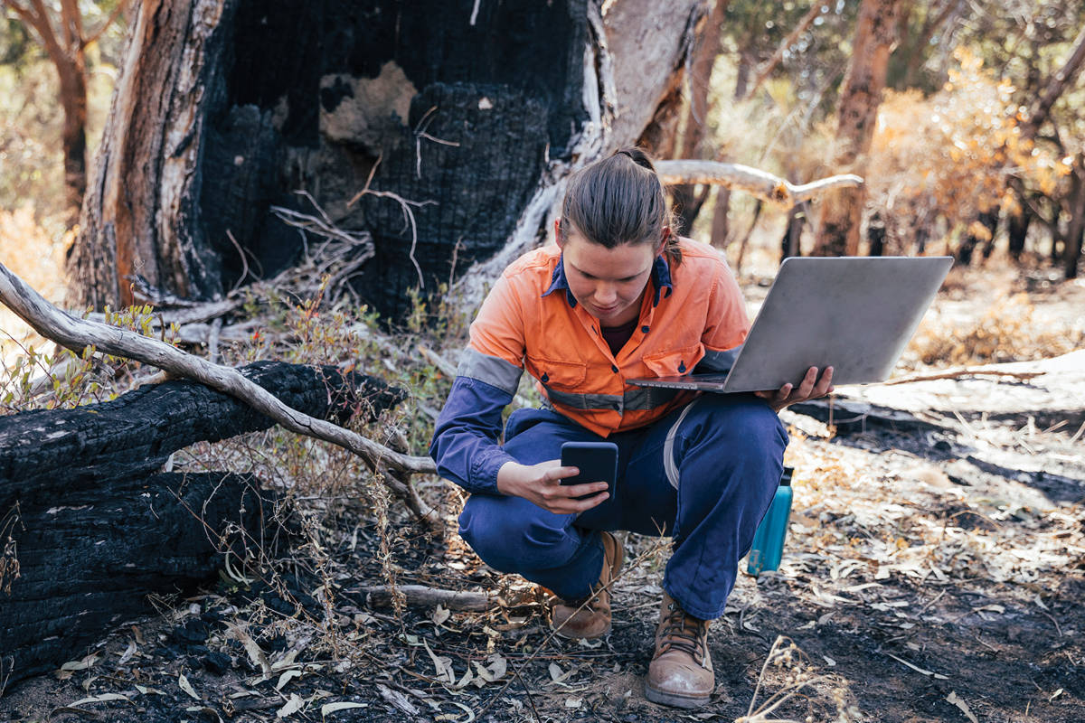 Scientist After Bushfire With Laptop