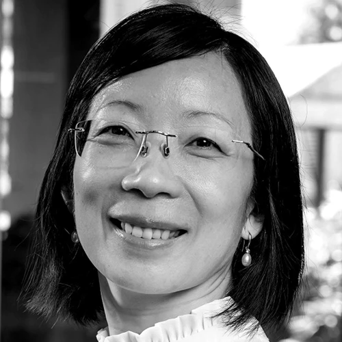Professor Hongxia Wang