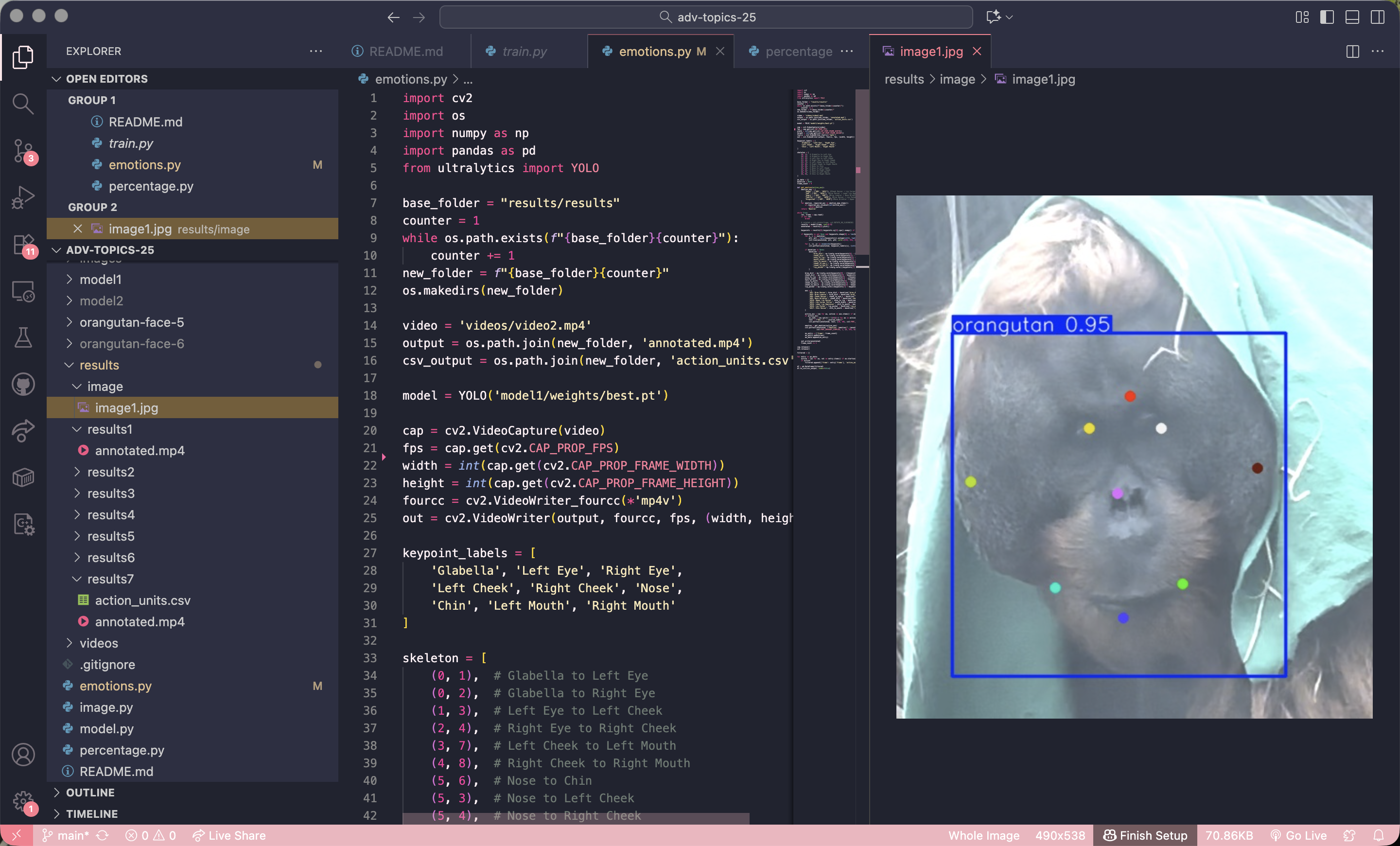 A computer screen showing a coding session in progress with a picture of the face of an orangutan being analysed.