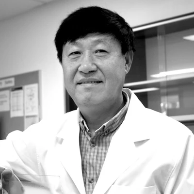 Professor Huijun Zhao