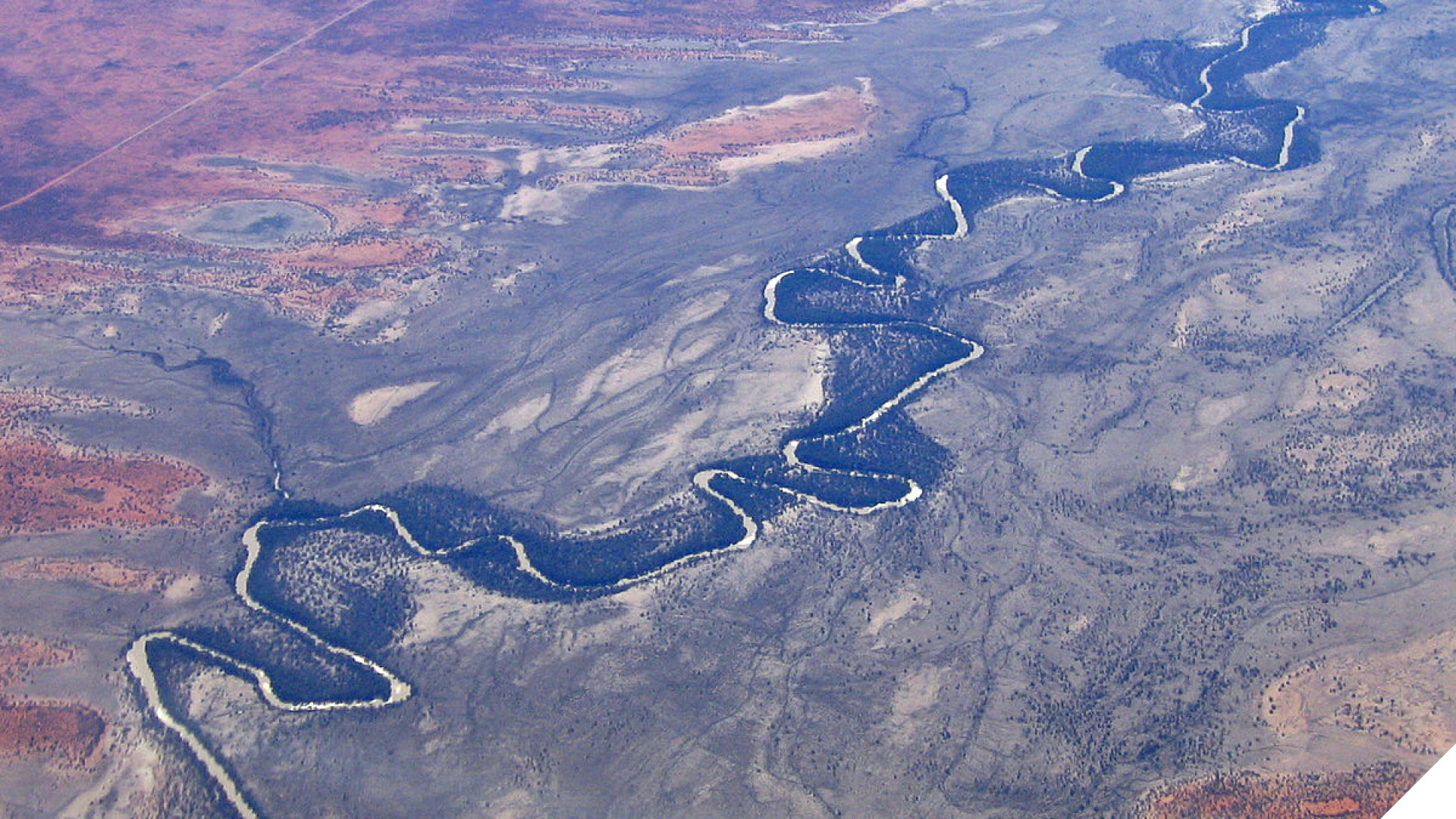 Murray River from the air