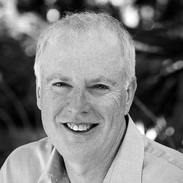 Professor David Abramson